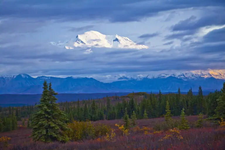 McKinley 2015 – Summit Video